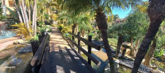 3 غرف نوم شقة في Marbella, Spain رقم 94925 39