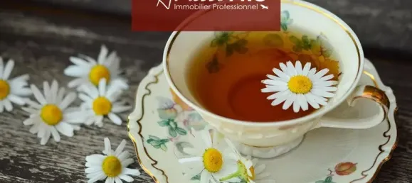 80m² Commercial property in Castelnau-le-Lez, France No. 307862 3