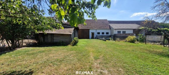 3 rooms House in Grosskrut, Austria No. 238406 15