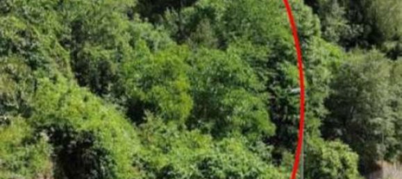 Studio in Valfloriana, Italy, Nr. 52137 5