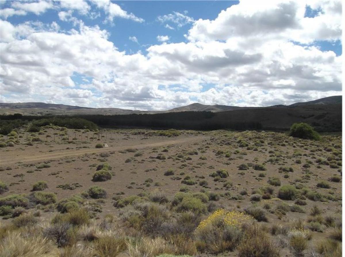  Land in Neuquen, Argentina No. 42352