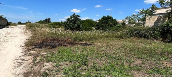 Grundstück in Manduria, Italy 2300m², Nr. 119798 2