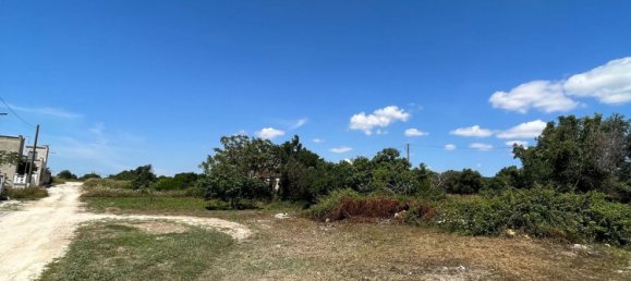 Grundstück in Manduria, Italy 2300m², Nr. 119798 5