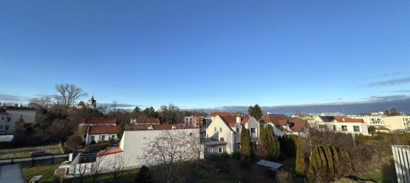 Пентхаус с 3 комнатами в Эбрайксдорф, Австрия № 247418 11