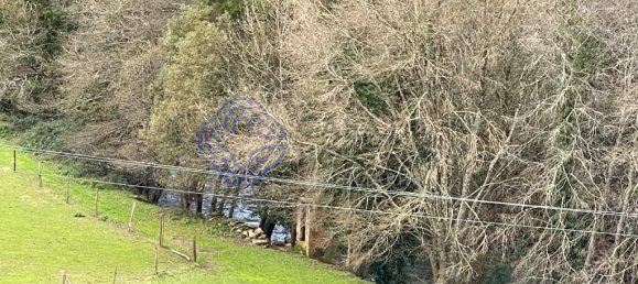 5 chambres Maison à Caminha, Portugal No. 55637 2