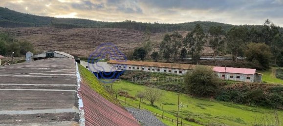 5 chambres Maison à Caminha, Portugal No. 55637 4