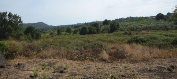 Земельный участок 14414м² в Виагранде, Италия № 104501 3