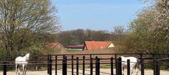 5 Schlafzimmer Haus in Gütersloh, Germany, Nr. 347912 28