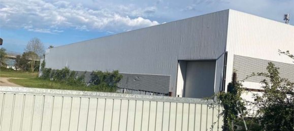 7500m² Warehouse in Monselice, Italy No. 88701 6
