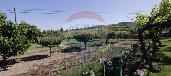 5 bedrooms House in Chaves, Portugal No. 183923 5