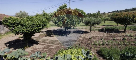 5 bedrooms House in Chaves, Portugal No. 183923 3