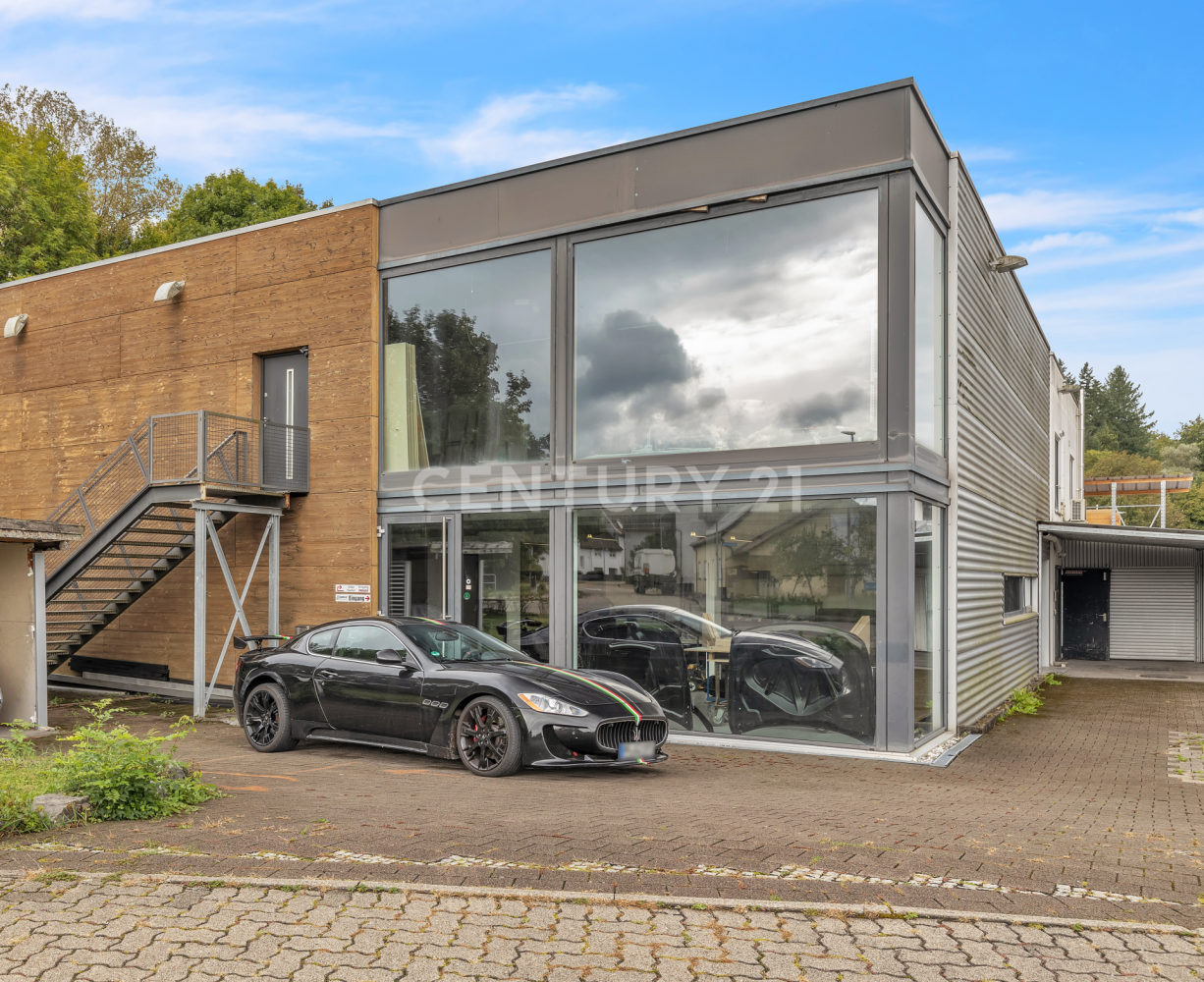  عقار تجاري في Enzkreis, Germany 236متر مربع رقم 31002