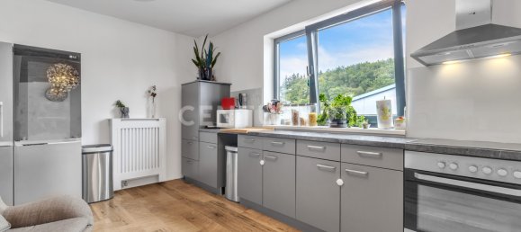  عقار تجاري في Enzkreis, Germany 236متر مربع رقم 31002 9