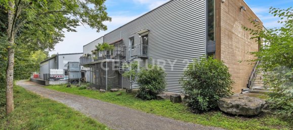  عقار تجاري في Enzkreis, Germany 236متر مربع رقم 31002 3