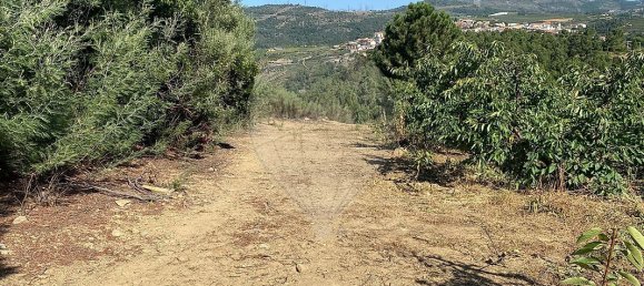 Terreno en Armamar, Portugal 10414 m² No. 62070 9