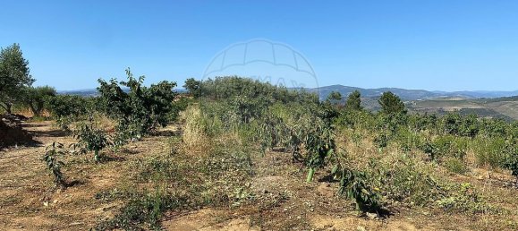Terreno en Armamar, Portugal 10414 m² No. 62070 2