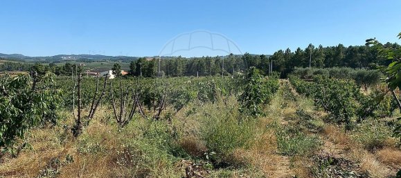 Terreno en Armamar, Portugal 10414 m² No. 62070 7