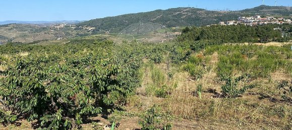 Terreno en Armamar, Portugal 10414 m² No. 62070 8