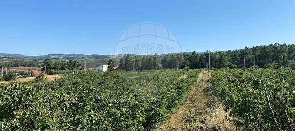 Terreno en Armamar, Portugal 10414 m² No. 62070 10