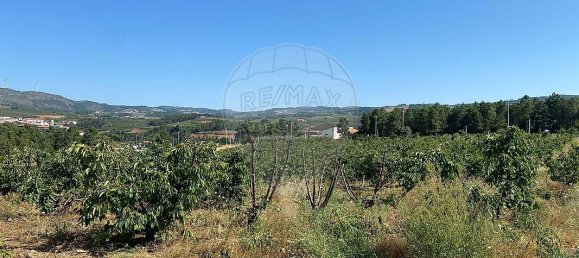 Terreno en Armamar, Portugal 10414 m² No. 62070 6