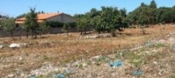  قطعة أرض في Turquel, Portugal 1240متر مربع رقم 63064 3