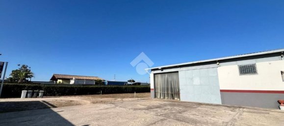 Entrepôt à Anzio, Italy 160m² No. 261330 4