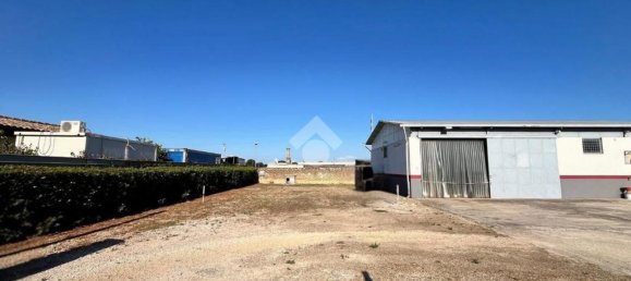 Entrepôt à Anzio, Italy 160m² No. 261330 15