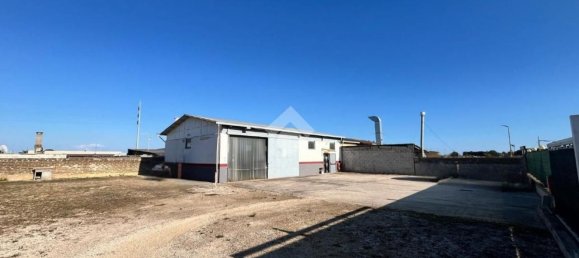 Entrepôt à Anzio, Italy 160m² No. 261330 12