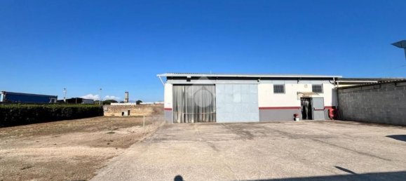 Entrepôt à Anzio, Italy 160m² No. 261330 3
