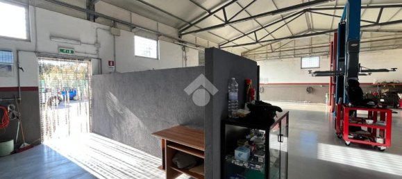 Entrepôt à Anzio, Italy 160m² No. 261330 9