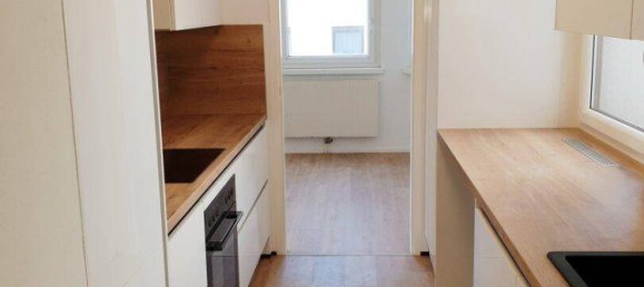 3غرفة شقة في Neufeld an der Leitha, Austria رقم 220943 2