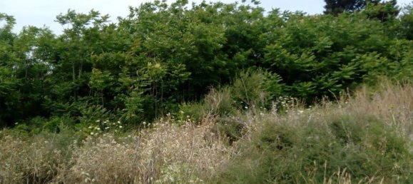 Terreno en Catania, Italy 1800 m² No. 157109 3