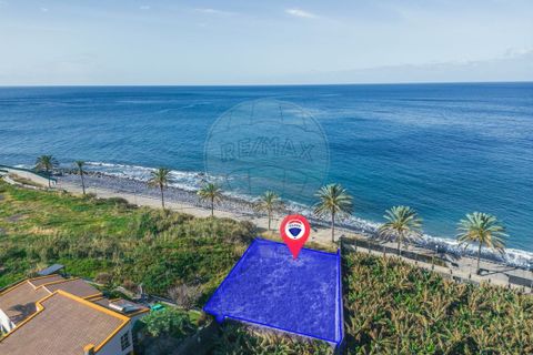  Land in Ponta do Sol, Portugal No. 252188