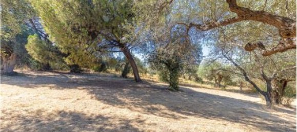 3 chambres Villa à Tivoli, Italy No. 279169 31