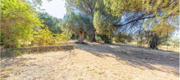 3 chambres Villa à Tivoli, Italy No. 279169 32