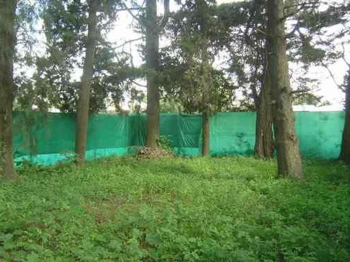  Land in San Miguel, Argentina No. 116271