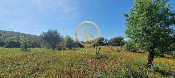 Земельный участок 7598м² в Лоле, Португалия № 44797 9