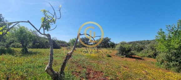 Земельный участок 7598м² в Лоле, Португалия № 44797 12