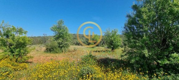 Земельный участок 7598м² в Лоле, Португалия № 44797 7