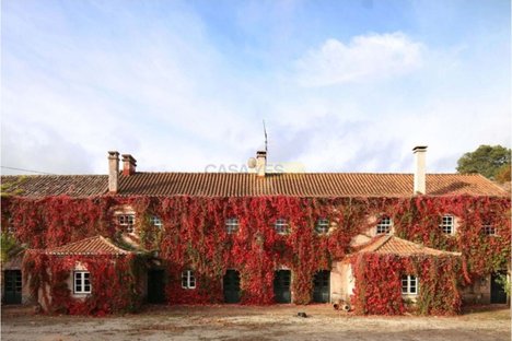 15 bedrooms House in Torres Vedras, Portugal No. 54391