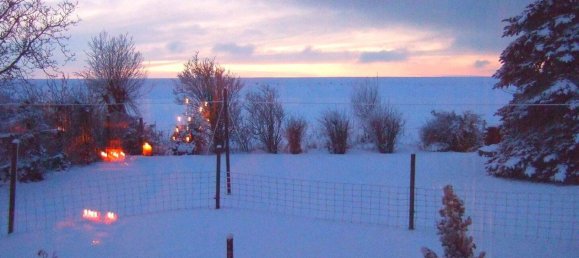 Grundstück in Steinburg, Germany, Nr. 295479 3