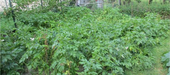 4 bedrooms House in Capizzone, Italy No. 354303 8