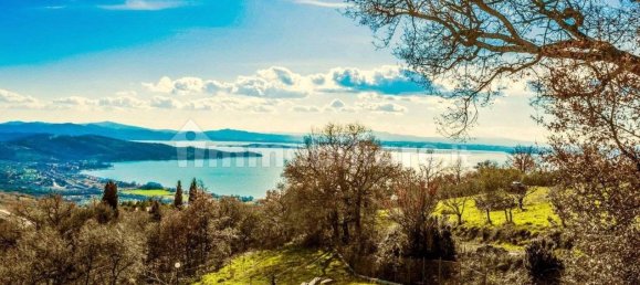 4 chambres Villa à Passignano sul Trasimeno, Italy No. 55674 24