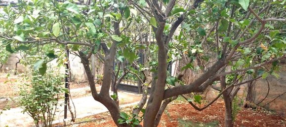  فندق في Koropi, Greece 440متر مربع رقم 7188 5