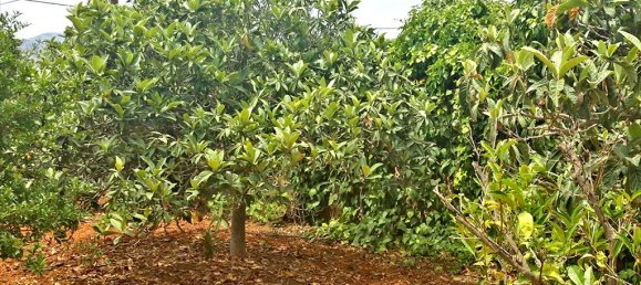  فندق في Koropi, Greece 440متر مربع رقم 7188 3