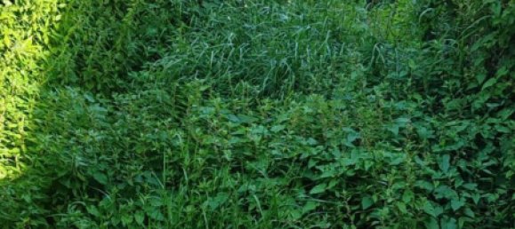 عقار تجاري في Torregrotta, Italy 85متر مربع رقم 110954 7