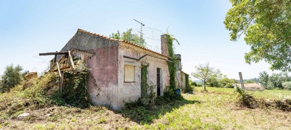 2 bedrooms House in Condeixa a Nova, Portugal No. 158078 6