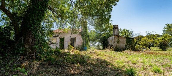 2 bedrooms House in Condeixa a Nova, Portugal No. 158078 4