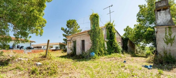 2 bedrooms House in Condeixa a Nova, Portugal No. 158078 5