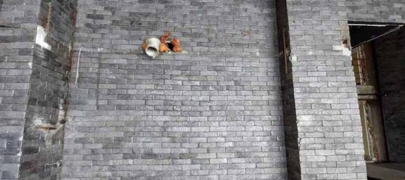 405m² Commercial property in Thessaloniki, Greece No. 96844 13